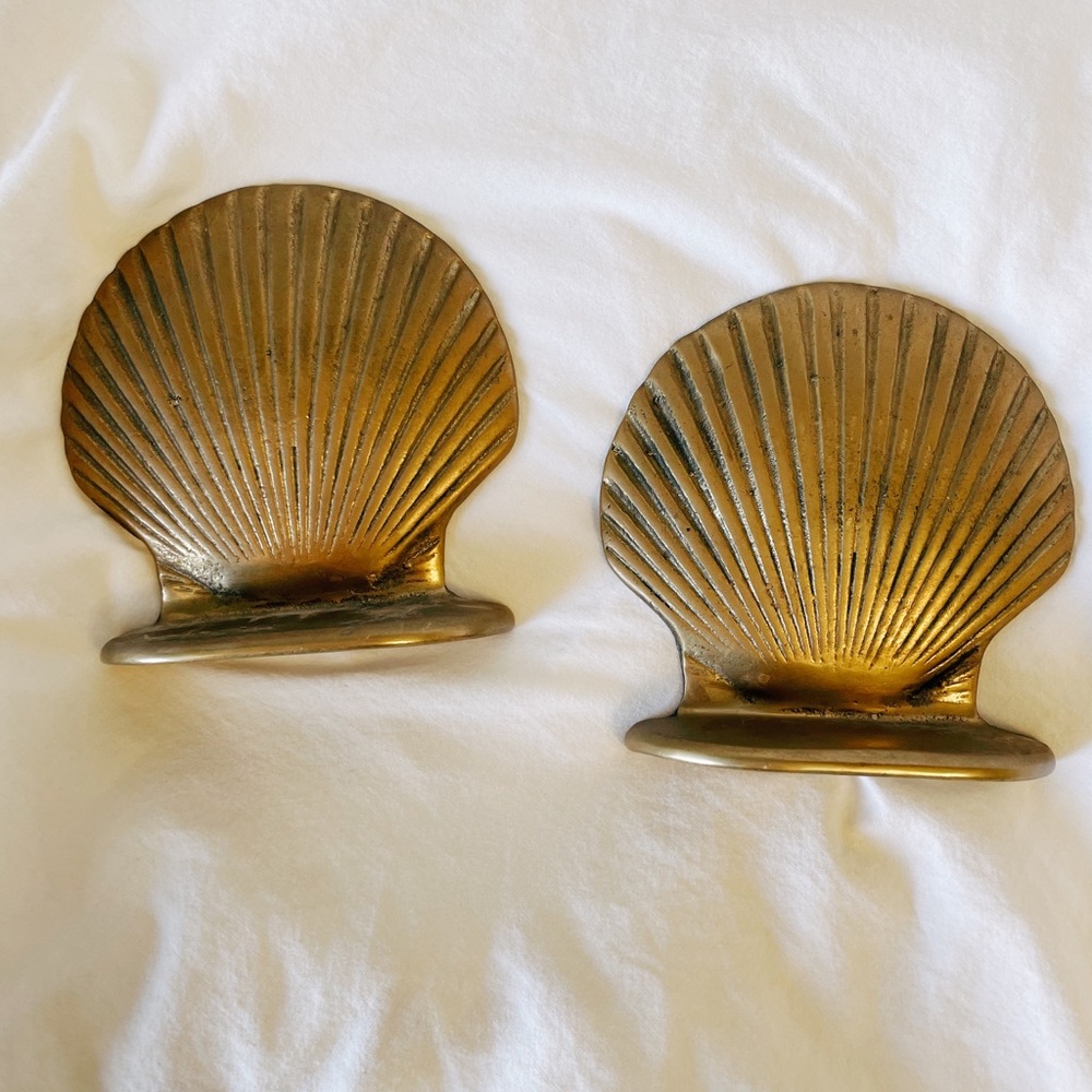Seashell bookends